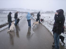 IMG_5188.JPG